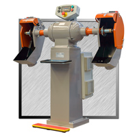 ciclope double shaft polishing machine brc